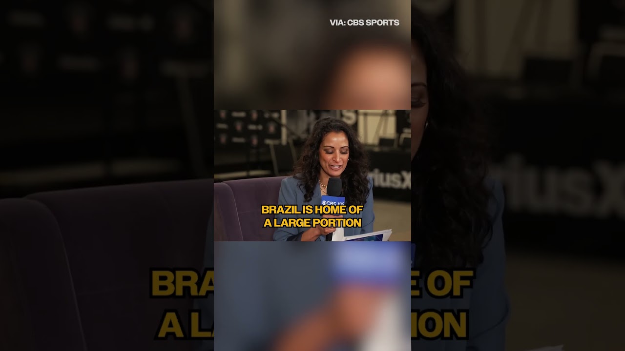 joe hortiz does brazil trivia 🇧🇷 #shorts