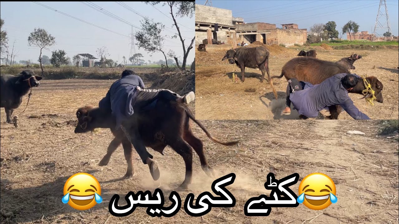 for you video YouTube