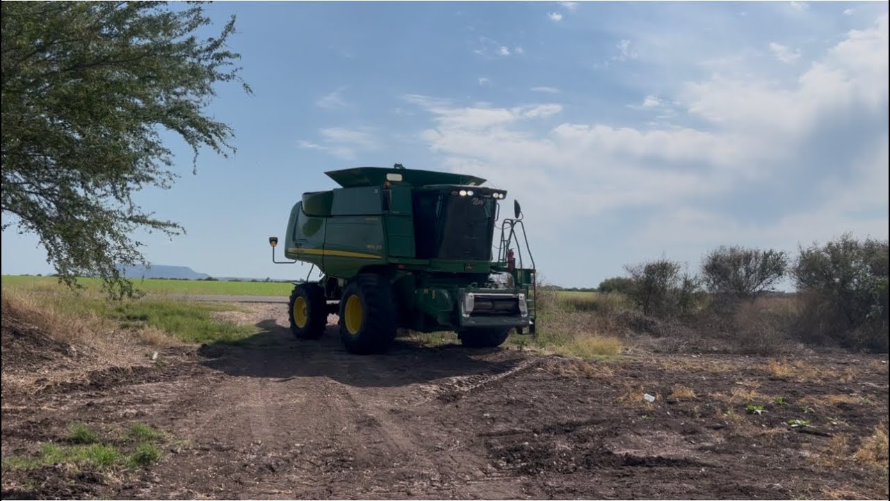 MIRA COMO ES UNA TRILLA DE GARBANZO DIRECTO. #agricultura #campo  