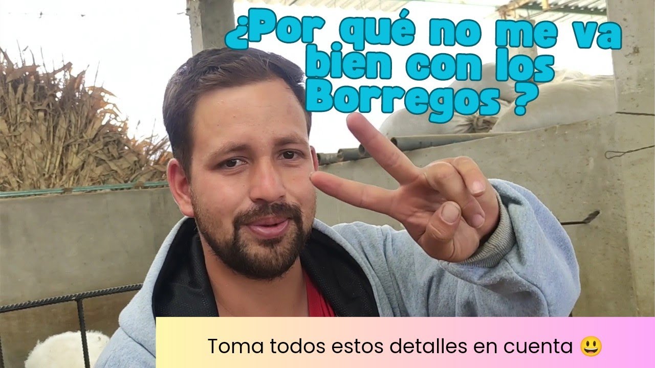 ¿Por qué no me va bien con los Borregos? 🤔😐😥