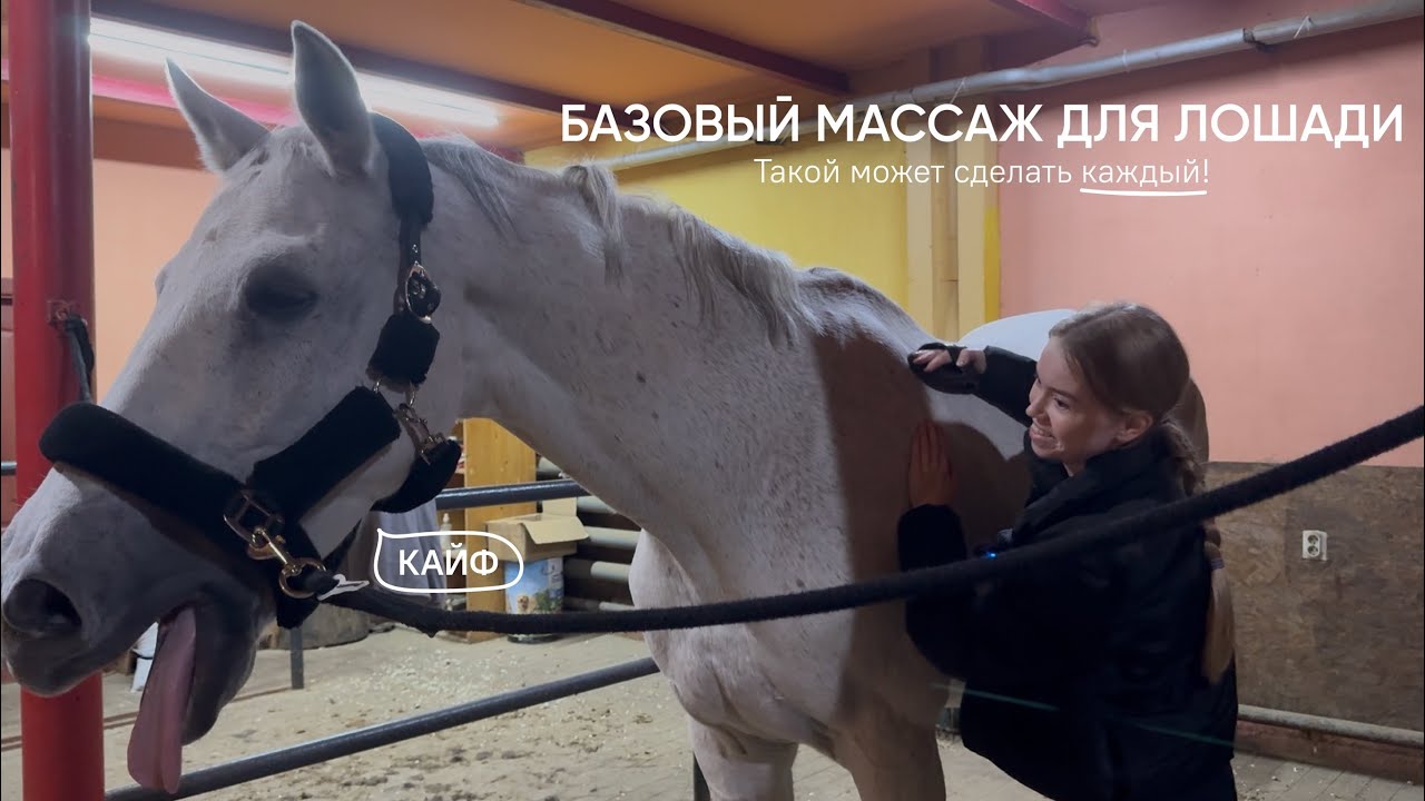 Простой МАССАЖ для лошади | Сможет сделать каждый