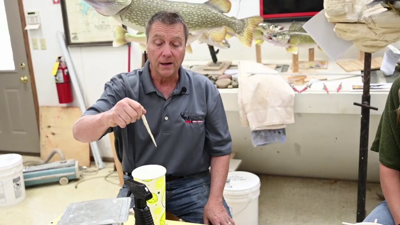 Learn Taxidermy: Part 3 - Goldeneye Project