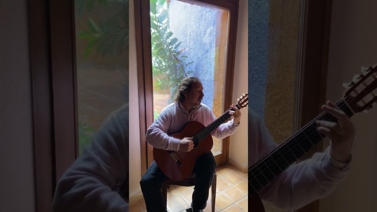 Toni Subirana - Alegre tristeza
