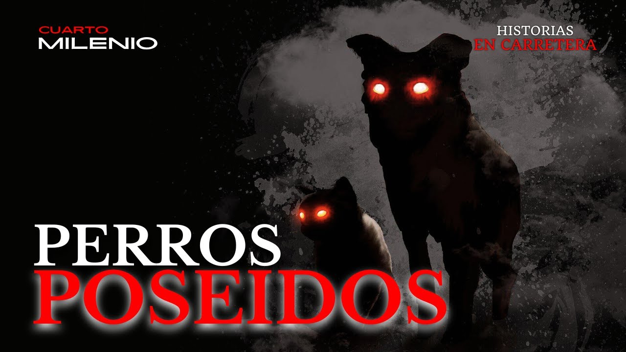 PERROS POSEIDOS - CUARTO MILENIO  - HISTORIAS DE FANTASMAS REALES EN CARRETERA