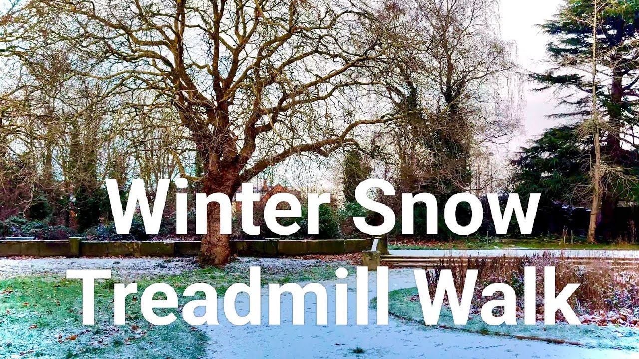 Winter Snow Treadmill Walk Victorian Botanic Gardens 4K UHD
