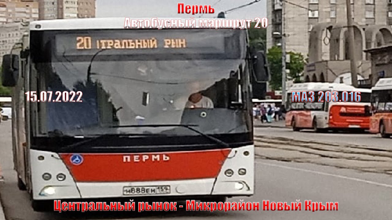 Пермь | Автобусный маршрут 20 | МАЗ 203.016 | Центральный рынок - Микрорайон Новый Крым | 15.07.2022
