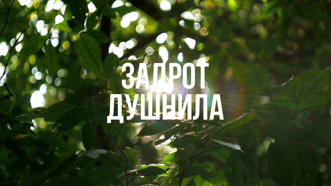 Путь к обеспеченной жизни - Подкаст №12