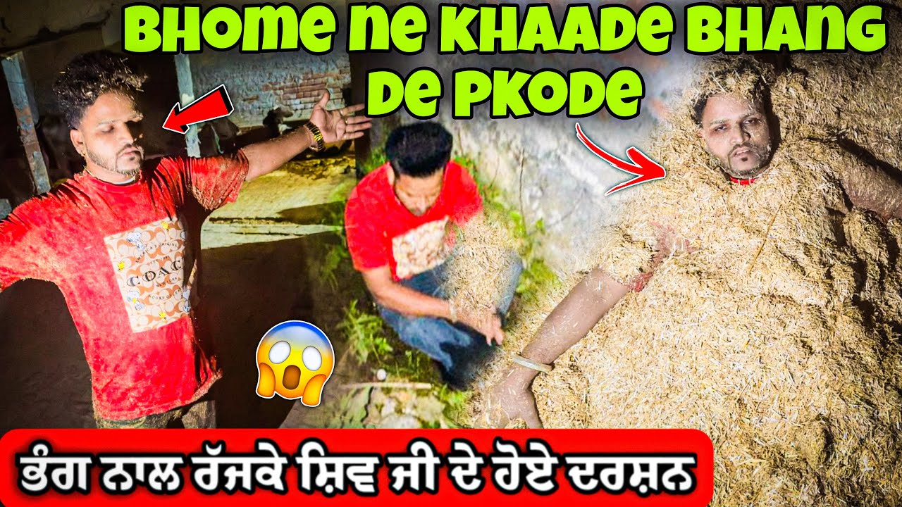 Bhome Ne Bhang De Pkode Khaa Lye Fer||Njaara Aa Jau Video Dekh k😂||0300 Ale