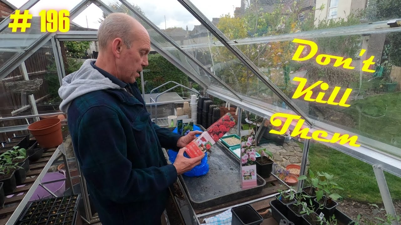 # 196 | More roses | the best blueberry compost mix | plotting with chris