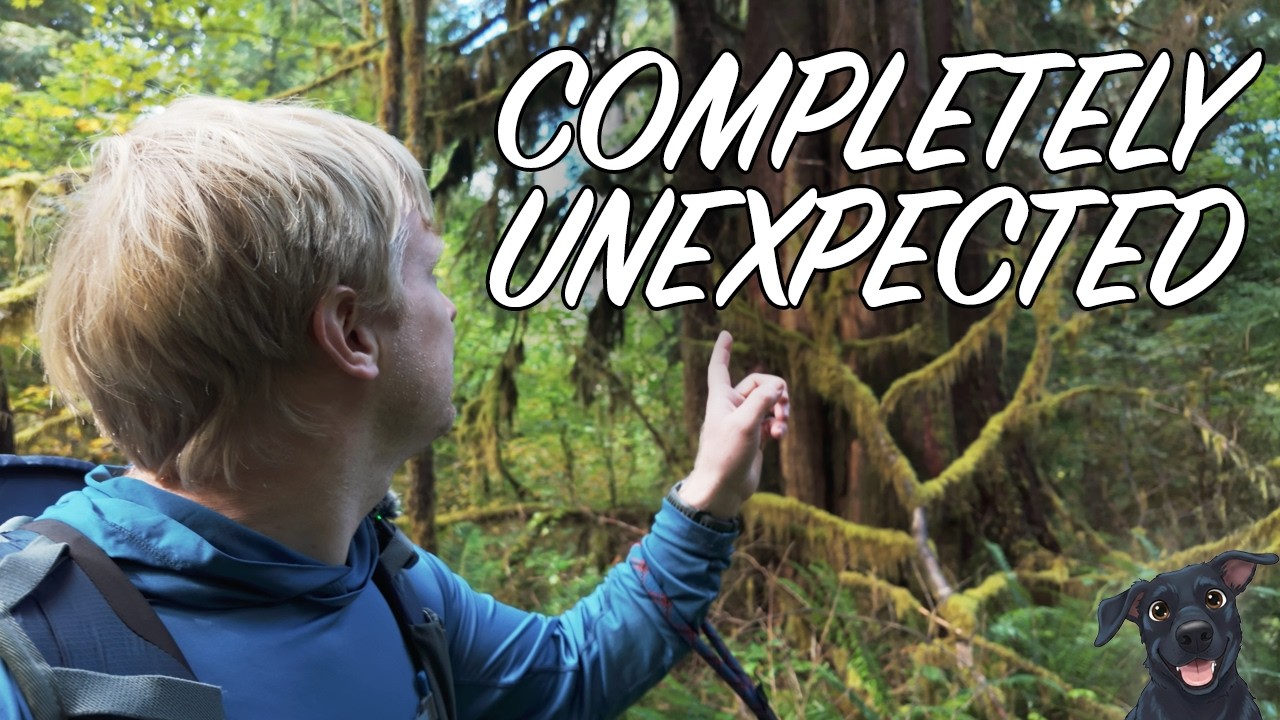 Rainforest Photography Scouting Didn’t Go As Expected!