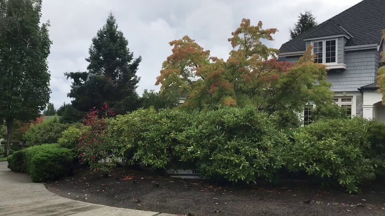 City of Mukilteo, WA, USA || Mukilteo, Washington, USA