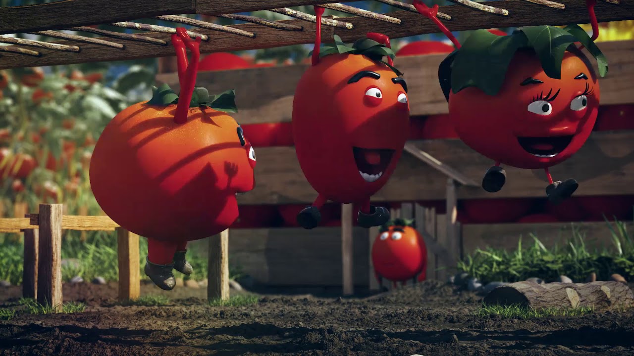 Zvijezda Ketchup Trening 2019