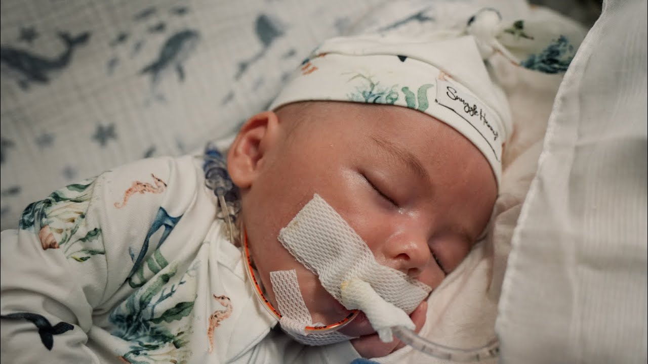 Journey of Jonah 🐳