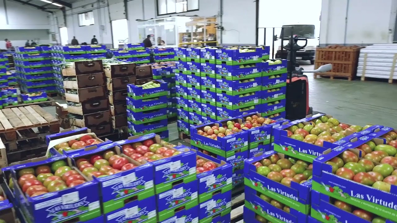La Janda  Gastronom&iacute;a