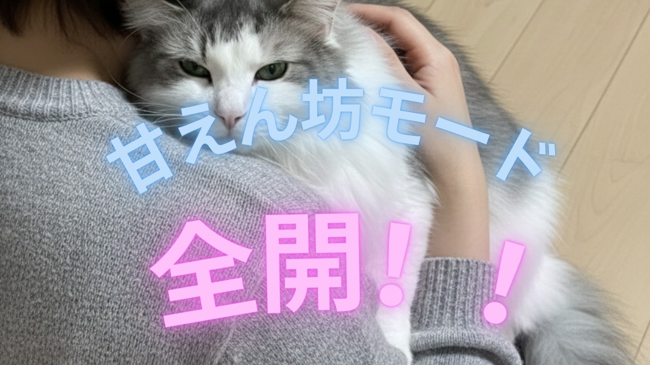 甘えん坊モードの猫ちゃん。