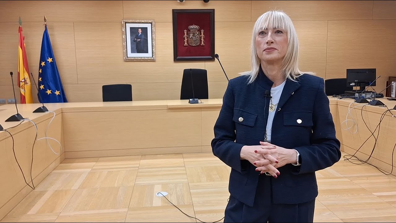 ¿Qué es la conformidad penal?