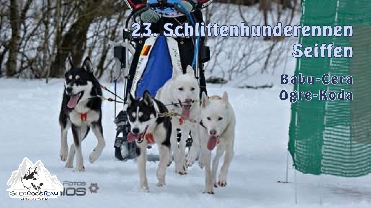 23. Schlittenhunderennen on snow Seiffen