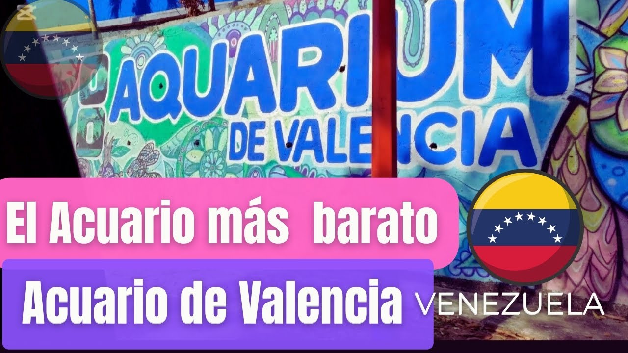 EL ACUARIO MAS BARATO DE VENEZUELA ACUARIO De Valencia #venezuela#acuario#lugaresdevenezuela