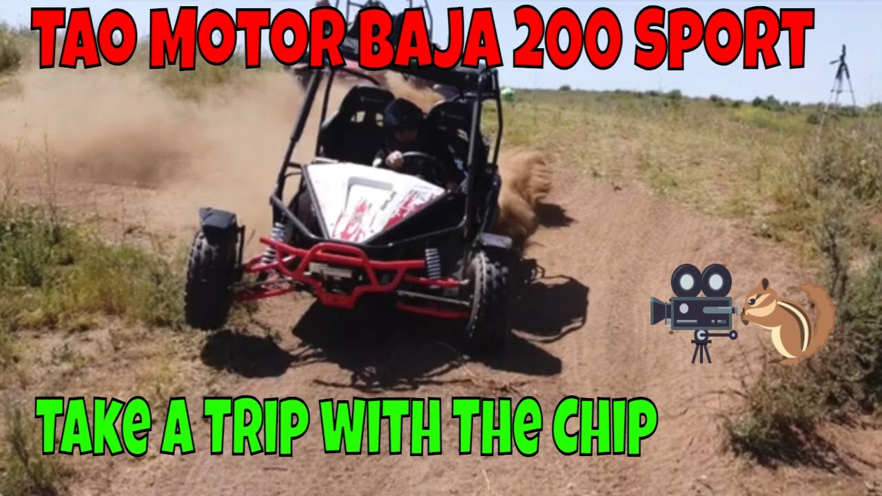 Tao Motor Baja Sport Ride with Dorito