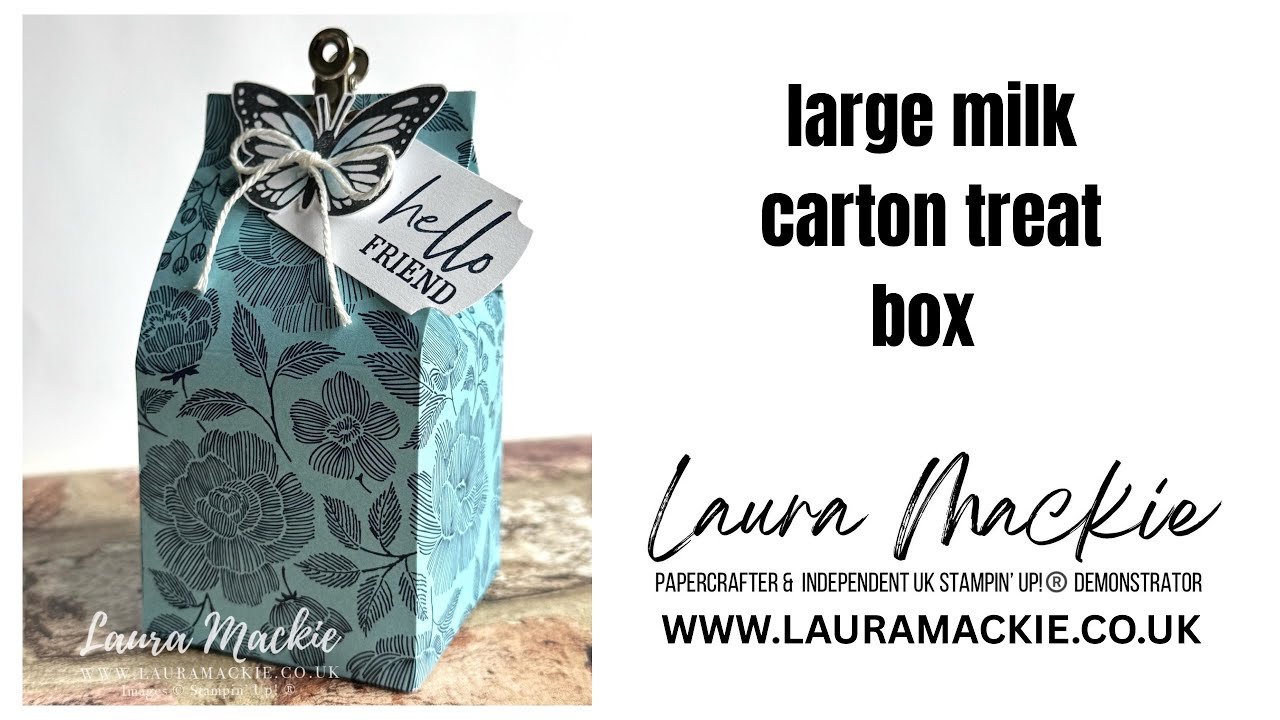 Large milk carton treat box