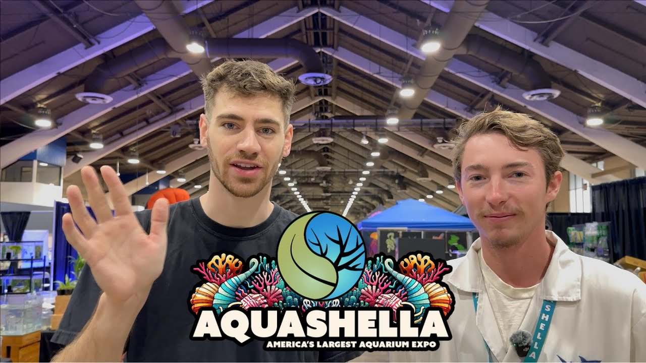 Aquashella 2025 Vlog | CoralFish12g & Epic Reef Booths with Mad Reefer Aquatics