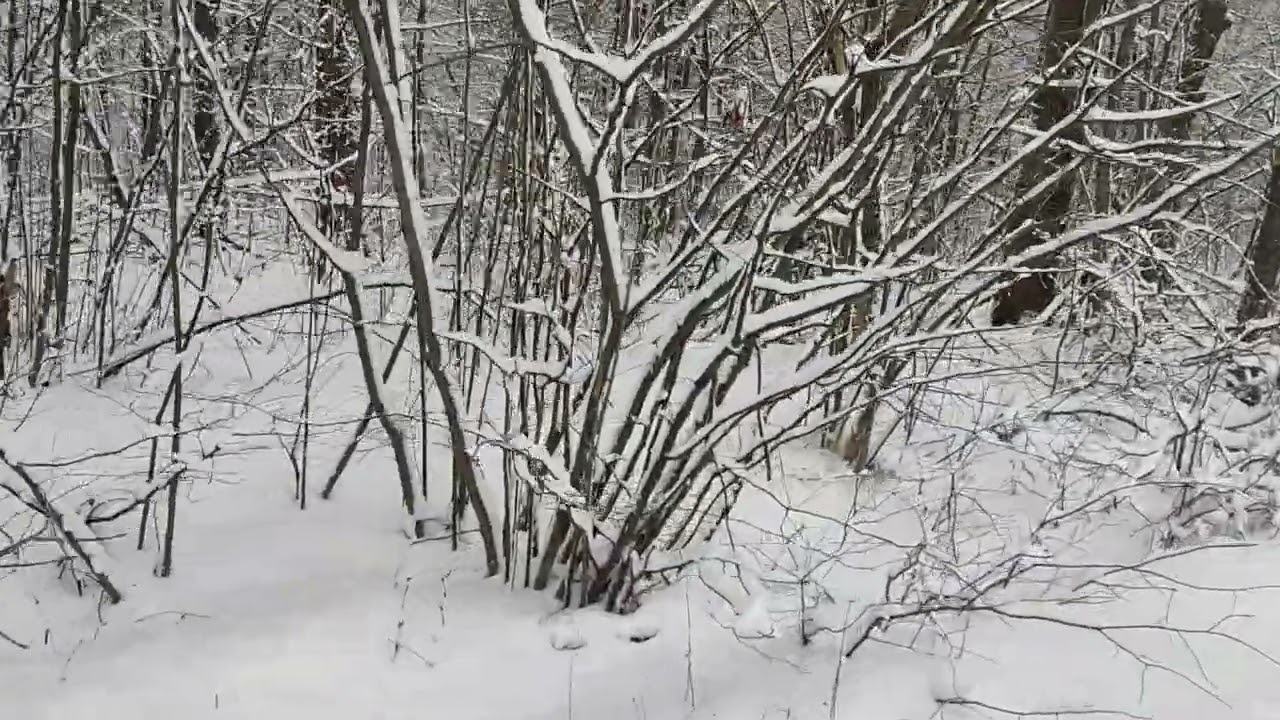 История знакомой женщины - измены мужа...