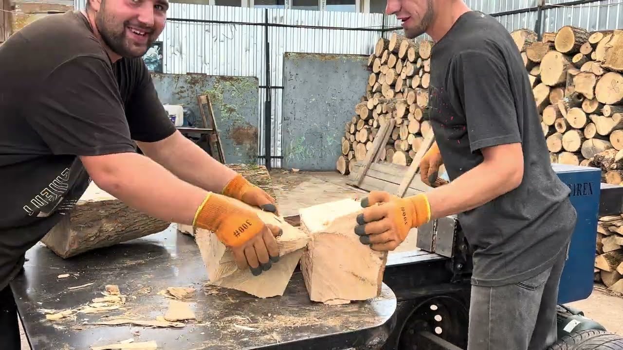 Extreme Forest Work | Giant Stumps