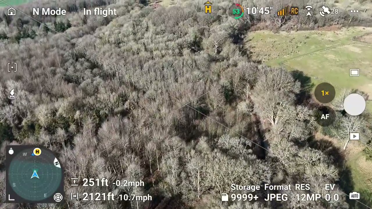 Flying over Wytham woods