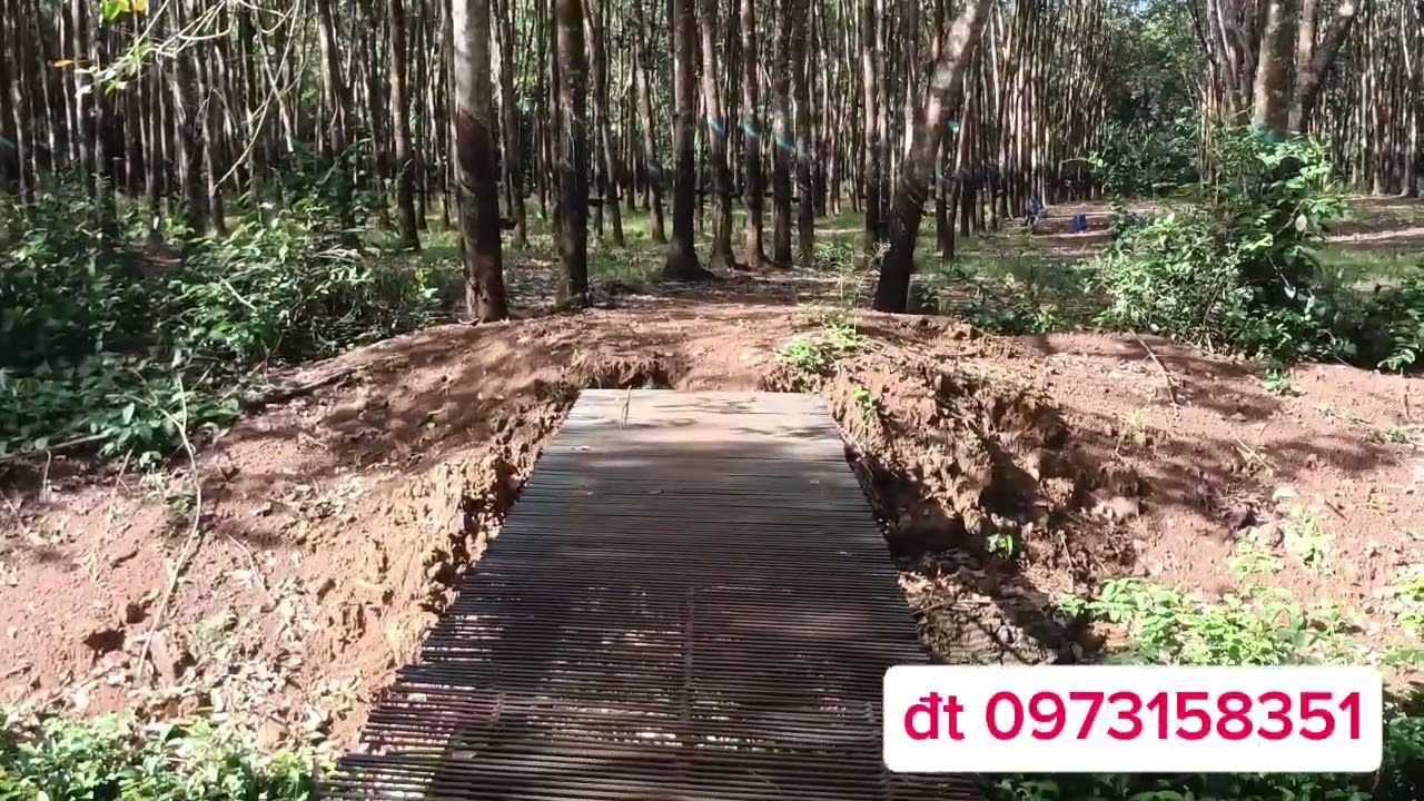 Vị trí đất tọa lạc tại xã Long Bình huyện Phú riềng tỉnh Bình Phước đt 0973158351