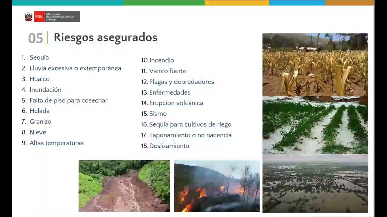 Capacitación de Seguro Agrícola - Madre de Dios