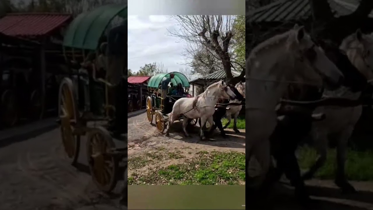 Estancia rural, relax y animalitos! El Terru&ntilde;o #relaxing #zoo #estanciarural #animals  #rural