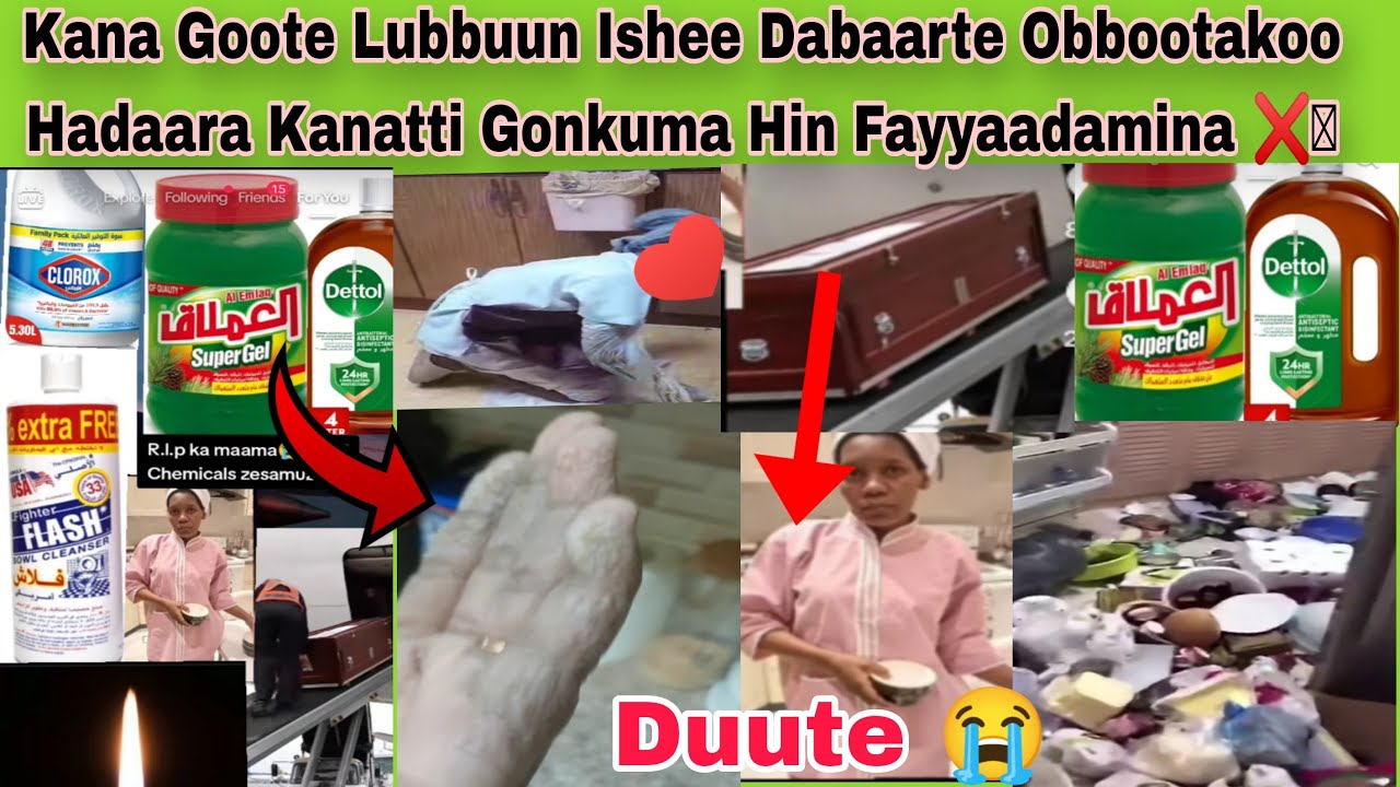 Maloo Kanarraa Of egaadhaa Obbootakoo Hadaara Sababa Kanan Lubbuu Ishee Darbiite Jirti 😭