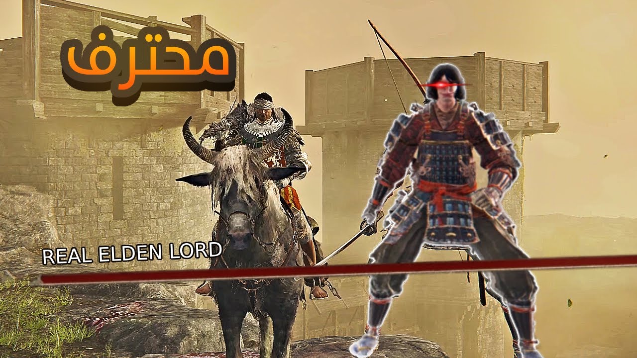لعبت مع أفضل لاعب الدن رينق في العالم ELDENRING