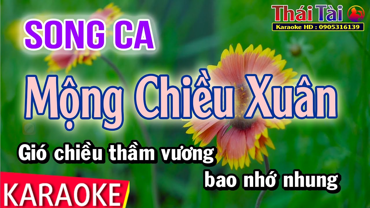 Karaoke Mộng Chiều Xuân Song Ca - Thái Tài