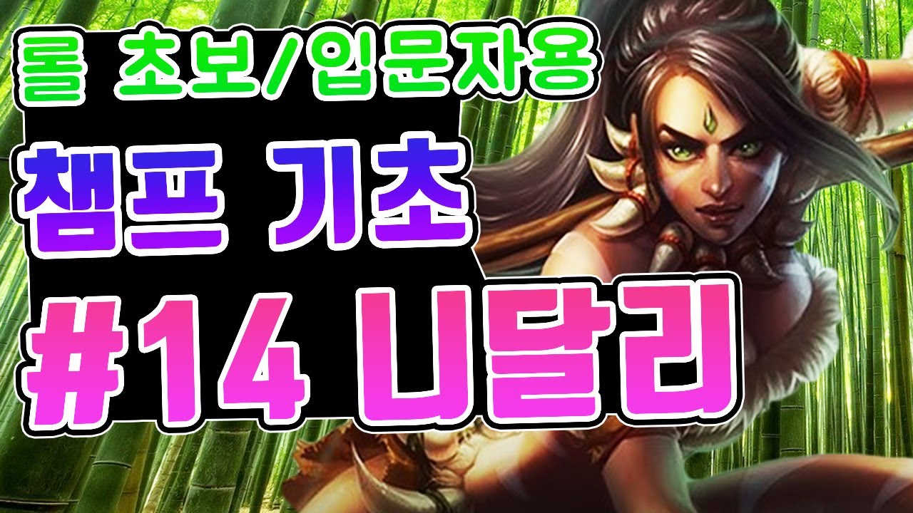 롤 챔피언 기초 #14. 니달리 / 롤 초보 입문자를 위한 영상 / 니달리 스킬 / 니달리 스킬콤보