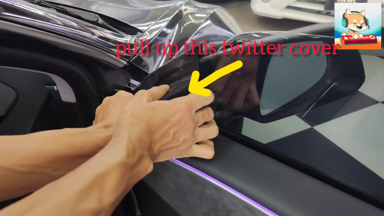 *🚗 How to Remove Front Door Panel - FULL GUIDE (2024 Tesla Model 3  )**