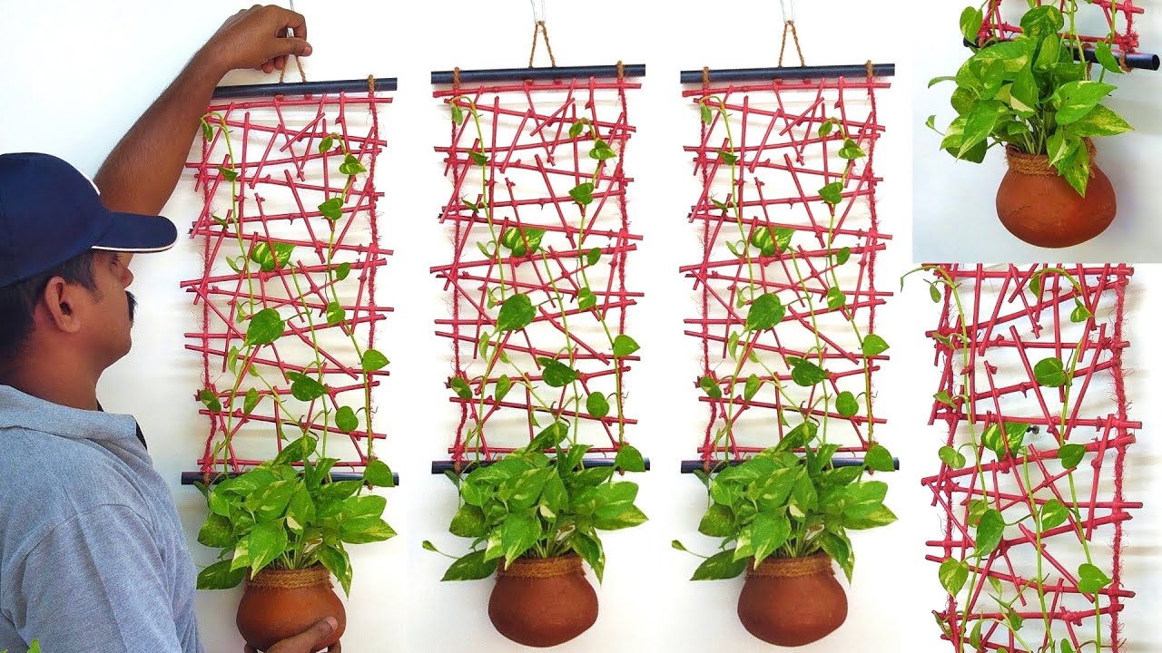 Most Beautiful Hanging Planter Ideas / Hanging Decoration Ideas / Money Plant Decoration Ideas