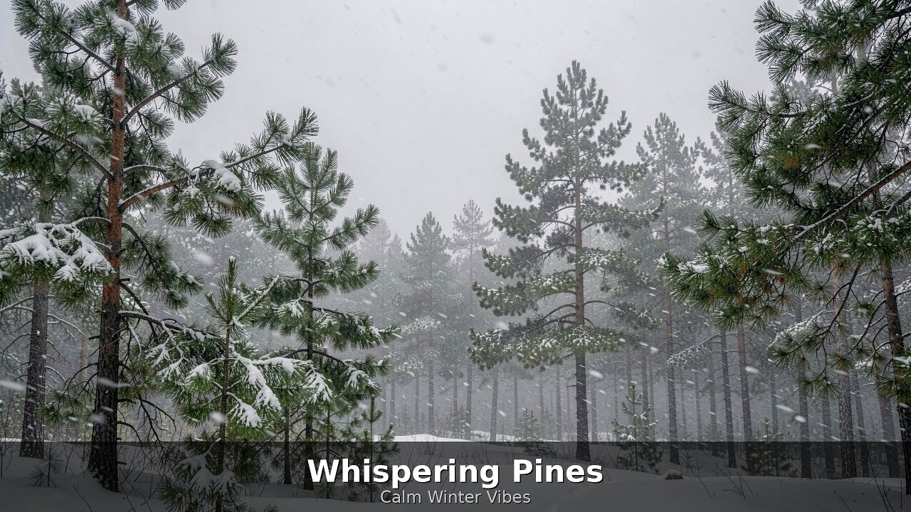 ❄️ Snowy Forest 🌲 for Sleep, Work, Study, Meditation & Relaxation