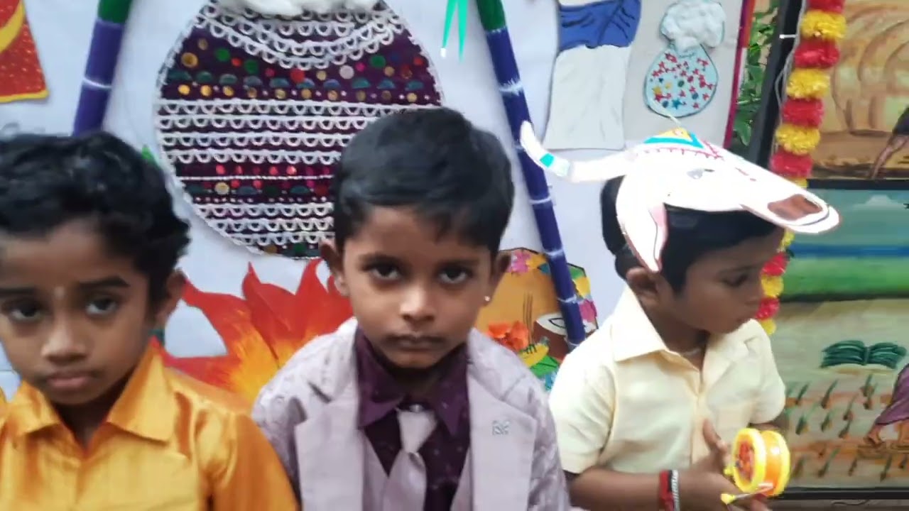 Pongal celebration 2026