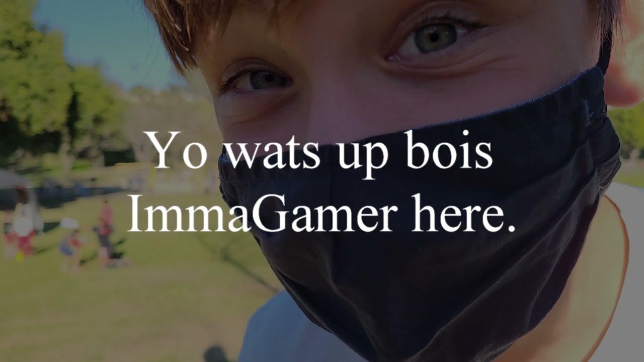 An Announcement (From ImmaGamer)