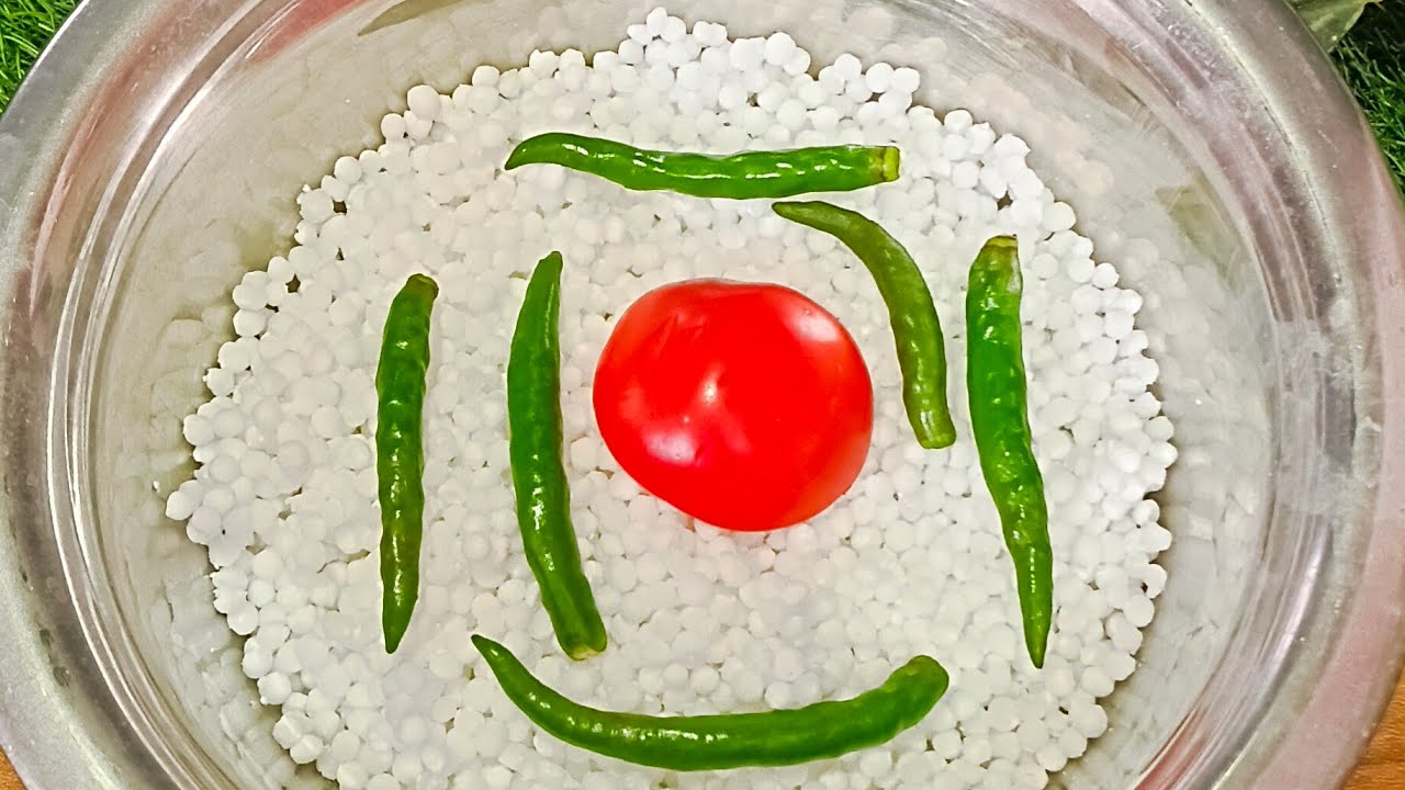 super and tasty sabudana khichdi 👌👌