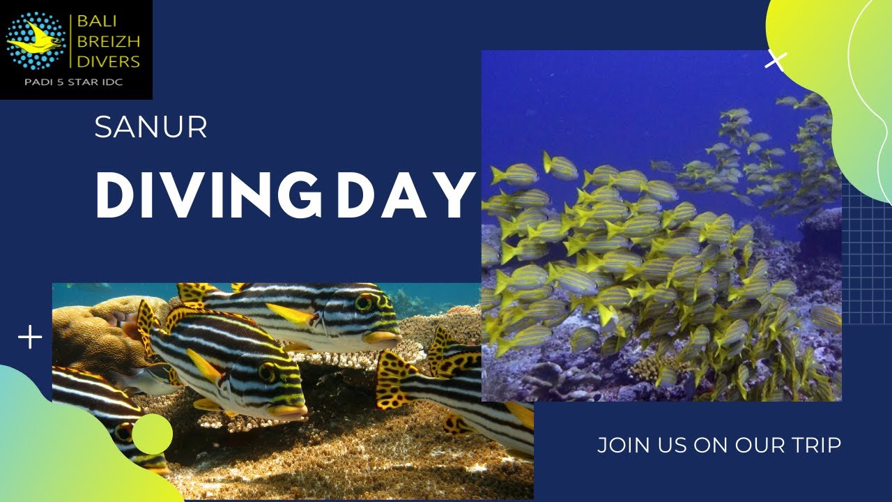 Diving day in Sanur