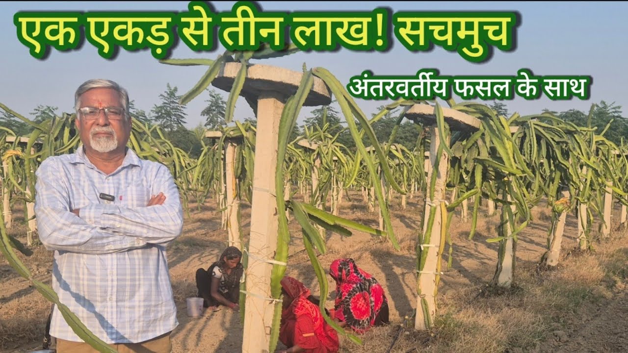467. क्या है इतनी आमदनी का सच?