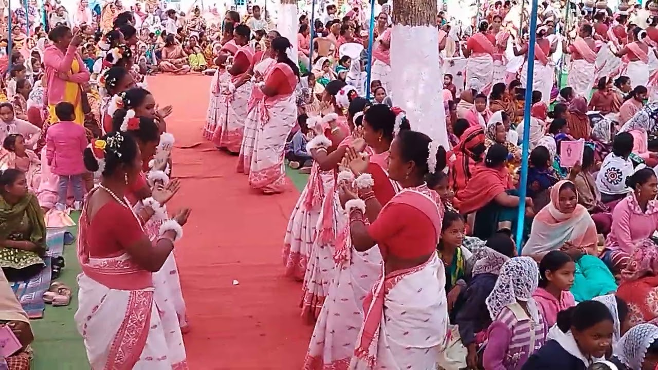Fr. Rohit Dhanwar//Priestley Ordination//Bisarjan dance
