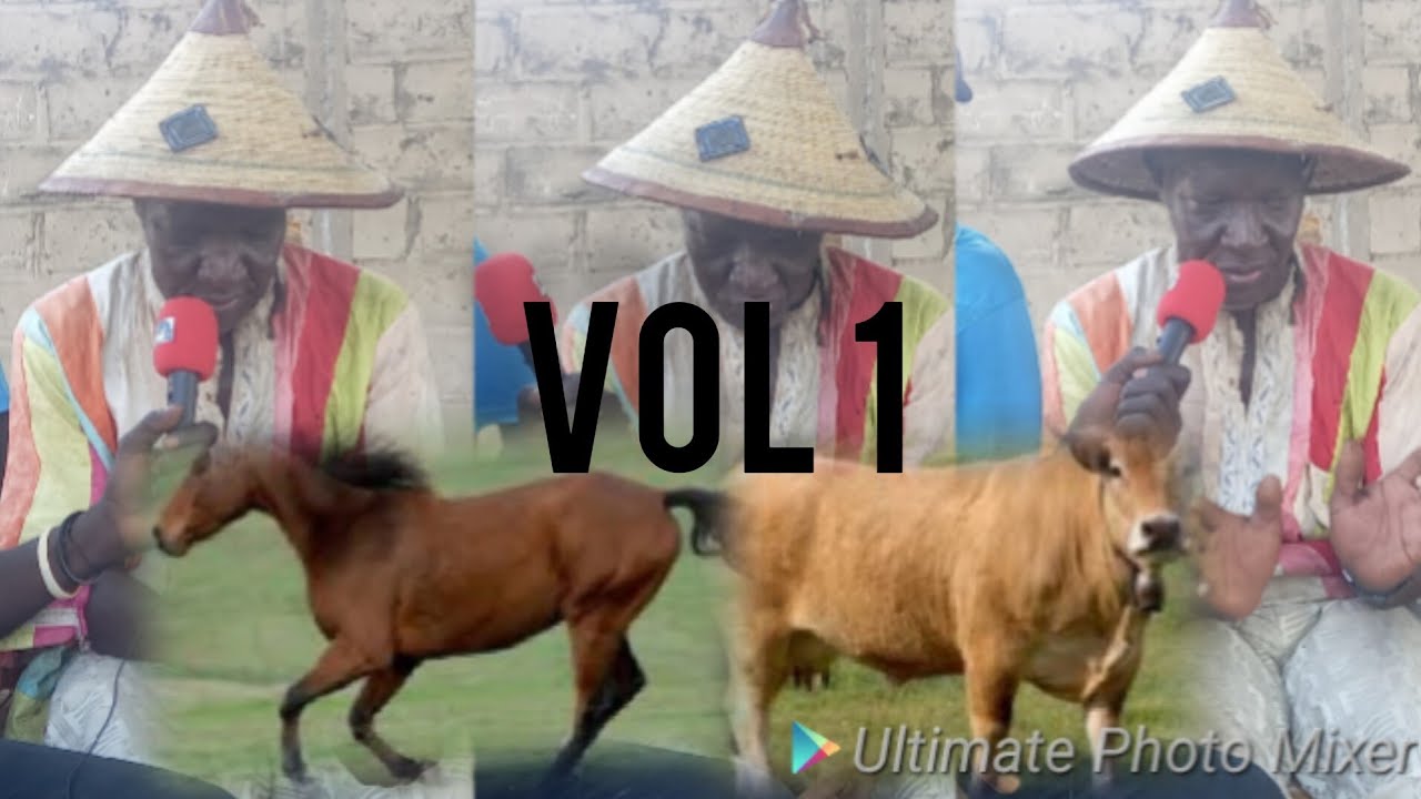 VOL 1 Ndiom faak .Dame Gackou le choc avec Ngari Mayo et ses trophés