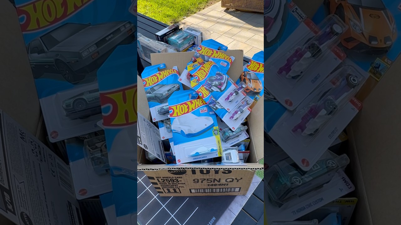 Pick a fave.  Hot Wheels 2024 N Case Highlights&hellip;#hotwheels