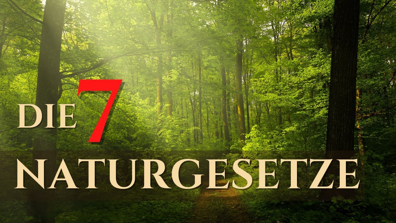 Die 7 Naturgesetze oder Schöpfungsgesetze