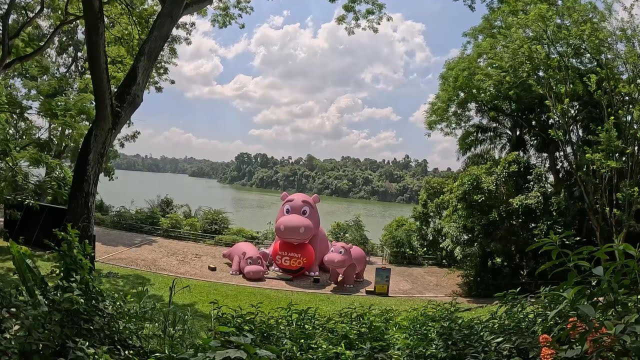 Descoperim Grădina Zoologică din Singapore în familie