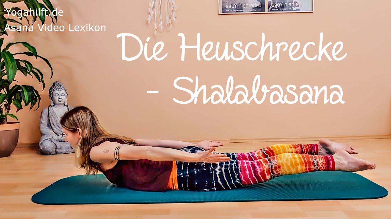 Shalabasana, die Heuschrecke - Anleitung