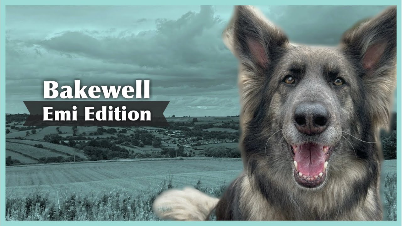 Bakewell (Vlog 13)